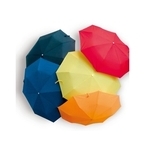 Mini umbrella