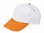 Adult bicolor hat